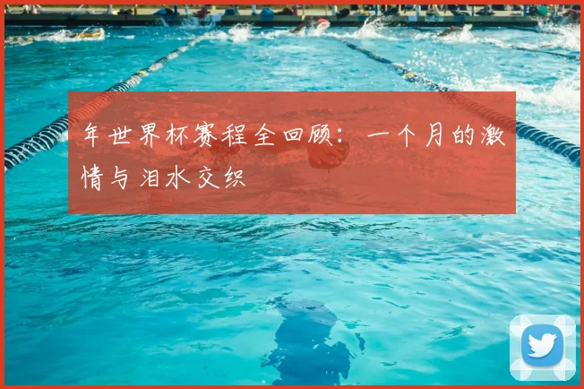 年世界杯赛程全回顾：一个月的激情与泪水交织