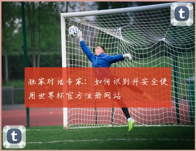 独家对话专家：如何识别并安全使用世界杯官方注册网站