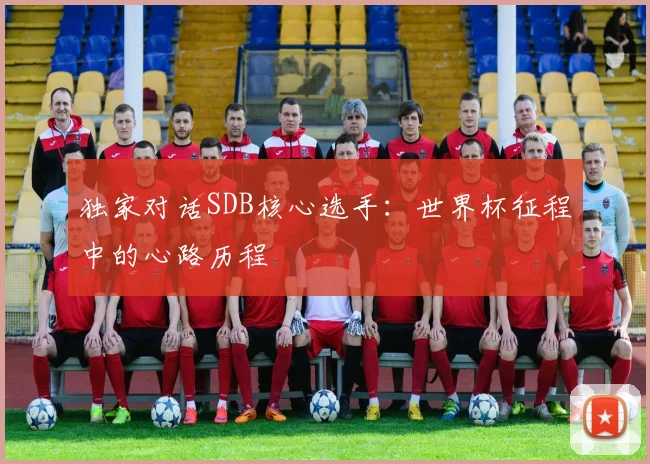 独家对话SDB核心选手：世界杯征程中的心路历程