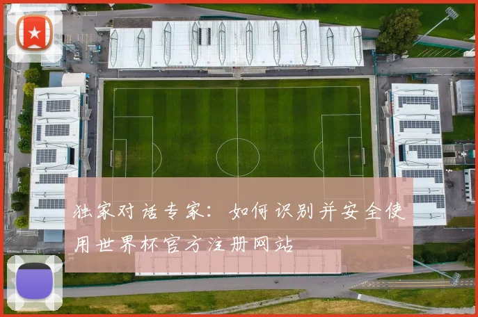 独家对话专家：如何识别并安全使用世界杯官方注册网站