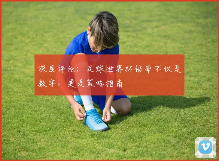 深度评论：足球世界杯倍率不仅是数字，更是策略指南