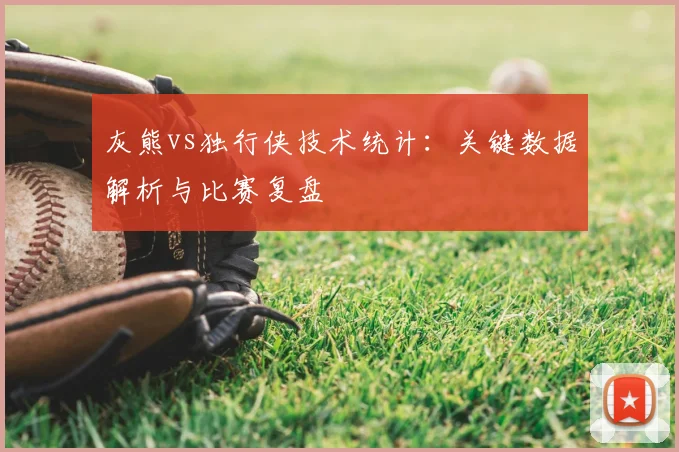 灰熊vs独行侠技术统计：关键数据解析与比赛复盘