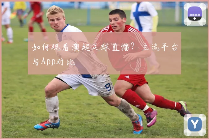 如何观看澳超足球直播？主流平台与App对比